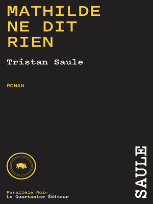 cover image of Mathilde ne dit rien